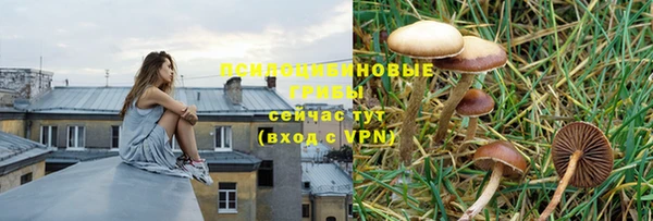 не бодяженный Вяземский