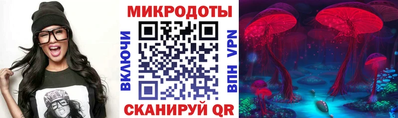 Псилоцибиновые грибы Psilocybine cubensis  Купить где  Краснозаводск 